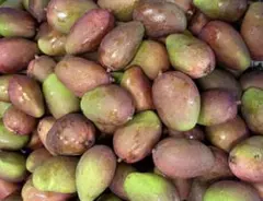 大容量10Kg 青マンゴー（摘果マンゴー）沖縄産 Green Mango - メルカリ