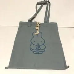 Item thumbnail for item 4389ca43-e938-49e1-8875-797d12872f35