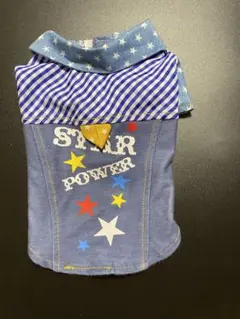 Item thumbnail for item 5ab7bb88-0cc1-424b-8f66-9edb0e6e55b9