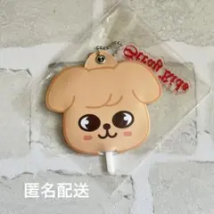 スキズ dominATE SKZOOミニうちわチャーム スンミン パピーム