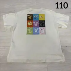 Item thumbnail for item 6e0a87a1-20dd-437b-8a65-e62ee54df1ae