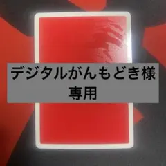 デジタルがんもどき様専用