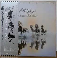 バイダルカ BAIDARKA The Kayak ジョージ.B.ダイソン - メルカリ