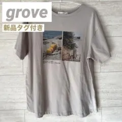 【新品】grove グローブ ベージュ 半袖Tシャツ 写真プリント ヴィンテージ