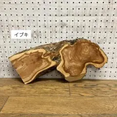 Item thumbnail for item c43bcb65-328c-4387-8f34-9b6762671d61