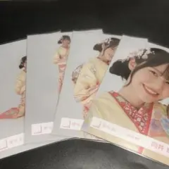 櫻坂46 向井純葉 2025年 振袖 衣装 4種コンプ 生写真