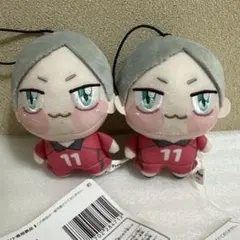 ハイキュー　ちょぴぬいぷち　灰羽リエーフ　ぬいぐるみ　マスコット　2個セット
