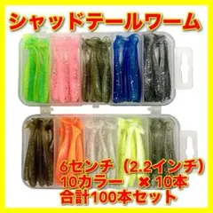 シャッドテールワーム　100本　10カラー　ジグヘッド　バス釣り　アジング