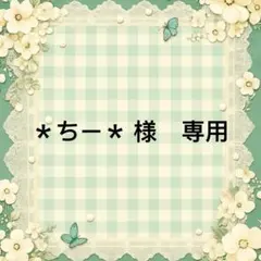＊ちー＊ 様　專用