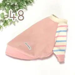 【胴回り48】春爛漫ボーダーのラグラン袖トレーナー