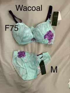 2025年最新】サルート f75 f75の人気アイテム - メルカリ