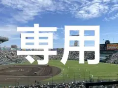 専用