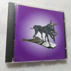 美品 テクノ ブラックドッグ