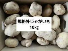 残りわずか！長崎県産規格外じゃがいも10㎏のサムネイル