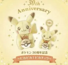2026年最新】ポケモン希望のメロディピカチュウの人気アイテム - メルカリ