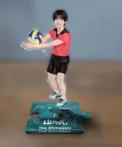 Shimasaki Toa Acrylic Stand Volleyball