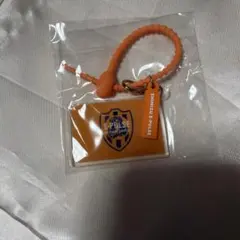 清水エスパルス マルチチャーム