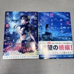 小説 あの星が降る丘で君とまた出会いたい。 月夜に散りゆく君と最後の恋をした
