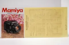 Item thumbnail for item d914fa5c-464d-4a80-9e2a-135199e311d0