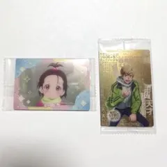 メダリスト ウエハース ほめちぎりカード おねだりカード 2枚セット