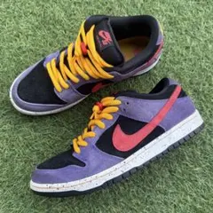 NIKE SB DUNK LOW TERRA ACG