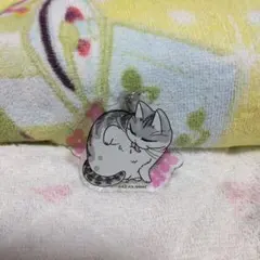 夜は猫といっしょ　キュルガ　オンラインくじ　アクリルキーホルダー