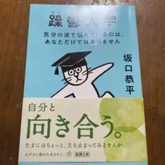 躁鬱大学 : 気分の波で悩んでいるのは、あなただけではありません