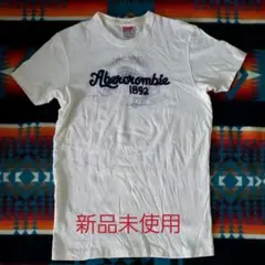 Tシャツ　アバクロンビー&フィッチ　初期モデル　古着風