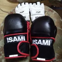 Item thumbnail for item 47c957fe-b161-4734-84d0-97d59ad3f1f5