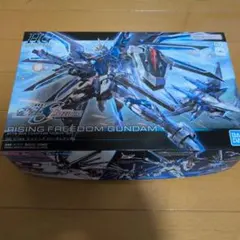 HG 1/144 ライジングフリーダムガンダム