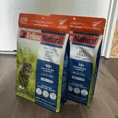 Item thumbnail for item 0c5c0f79-dc7a-47eb-8ab3-e0cc0ba199ee