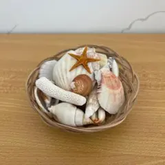 インテリア　置物　ハンドメイド　貝殻　シェル　珊瑚　サンゴ　かご入り　夏　海のサムネイル