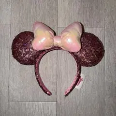 ディズニー　ミニー　パルパルーザ　カチューシャ　ファンダーランド　2024