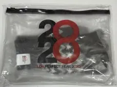 新品　LDH PERFECT YEAR 2020 グッズ　手袋