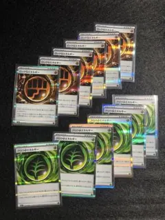 エネルギー　グロウ草+ロック闘　各6枚セット