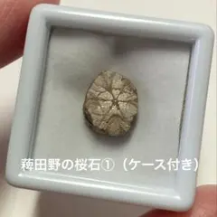 innovationi様 リクエスト 2点 まとめ商品