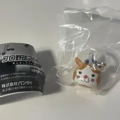 プロ野球マスコット めじるしアクセサリー DB.スターマン＋過去プロ野球チップス