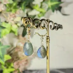 シラー綺麗ラブラドライトローゼンジカービングのピアスチャーム No.9 高品質ラブラドライト＊ブルーシラー＊ピアスチャーム - メルカリ