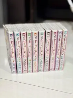 全巻初版帯付き】美少女戦士セーラームーン 新装版 12冊セット 武内
