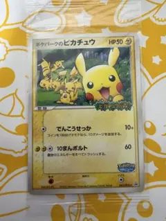 2026年最新】ポケパークのピカチュウの人気アイテム - メルカリ