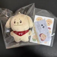 2026年最新】ジェヒョン ぬいぐるみ マスターの人気アイテム - メルカリ