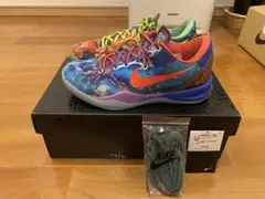 【24.0cm】NIKE kobe8 what the コービー8 US6