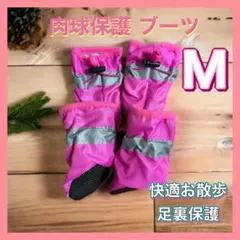 Item thumbnail for item dca28594-80c0-498a-a53a-3b766649d761