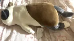 プレミアムねむねむ 抱きまくら L ゆず