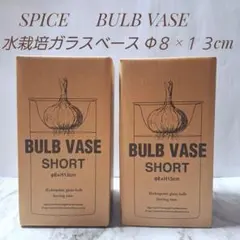 新品 SPICE 水栽培 ガラスベース バルブベース ショート クリア 4060のサムネイル