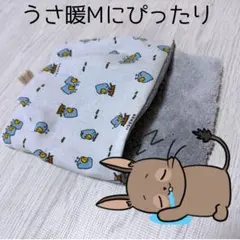 Item thumbnail for item 27871052-f7e9-4607-89a6-8637bc8a367d