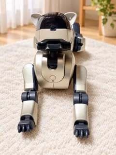 SONY AIBO ERS-210 アイボ 本体 元箱付き ジャンク
