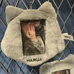 &TEAM Back to Life POP UP トレカホルダー　ハルア