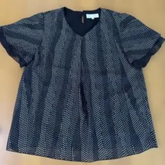 アルファキュービック　ドット柄カットソーシースルーのサムネイル