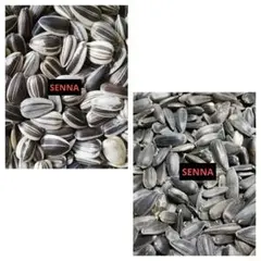 ひま種小粒＆黒ひま種小粒80ｇ　小動物の餌・おやつ※いいねしないでくださいのサムネイル